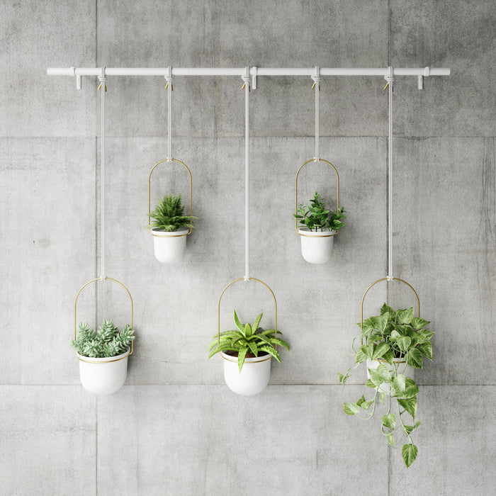 Umbra Triflora Hangende Bloempotten 5