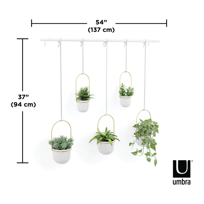 Umbra Triflora Hangende Bloempotten 5