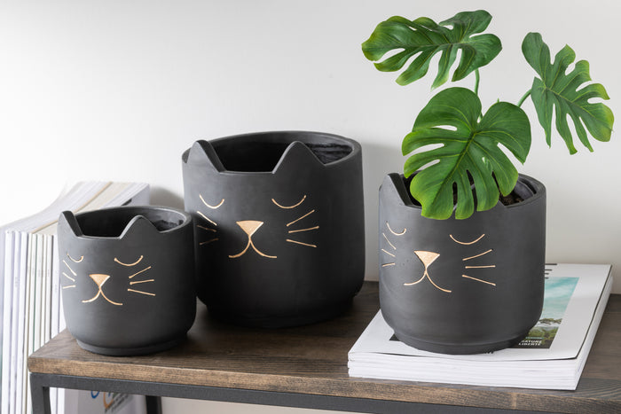 c940c5c4-c432-420f-84f5-7f25619c7196-sfeerbeeld.jpg (5143335) 