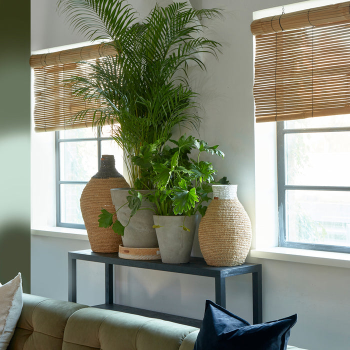 47626c2b-09b2-4457-98cd-a0af0c05449b-afbeelding3.jpg (5161156) 