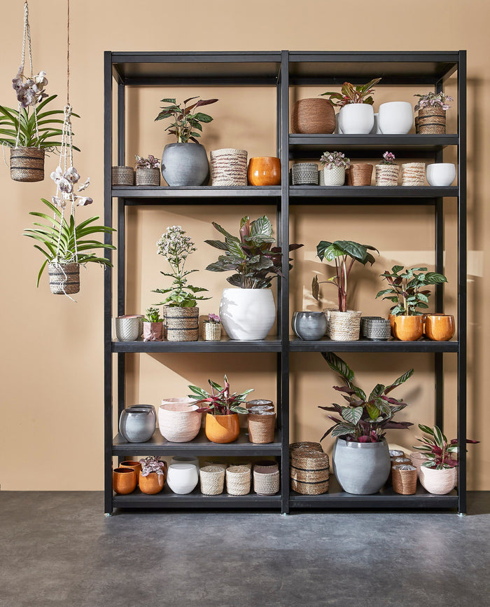 0143d88c-4fd7-4c75-84ea-8a22cf6b1a73-sfeerbeeld.jpg (5186858) 