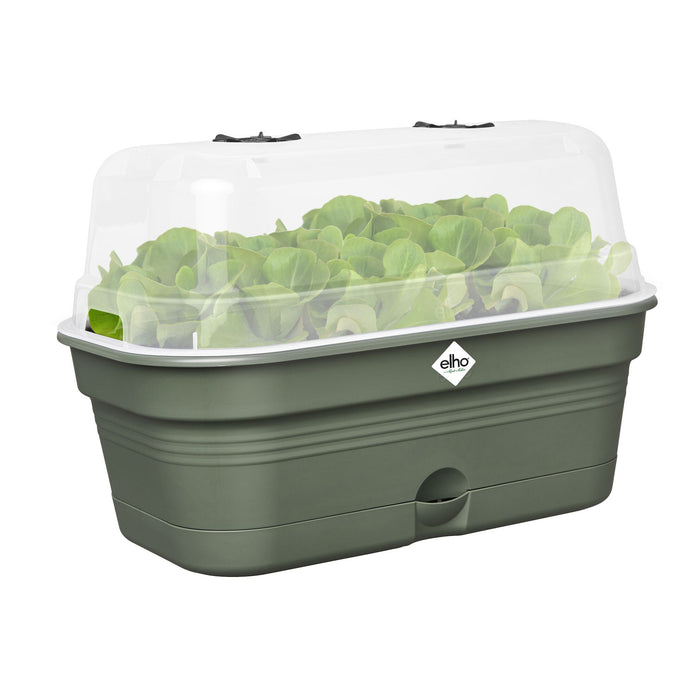 elho Green Basics Kweektray L - Groen