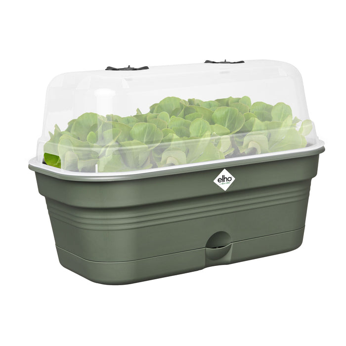 elho Green Basics Kweektray M - Groen