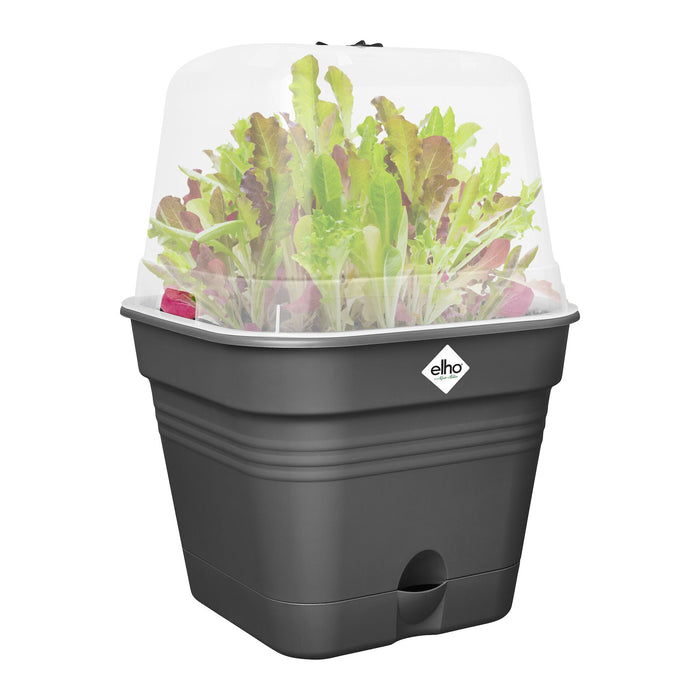 elho Green Basics Kweekpot B 30 x D 30 cm - Zwart