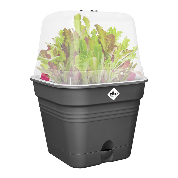 elho Green Basics Kweekpot B 20 x B 20 cm - Zwart