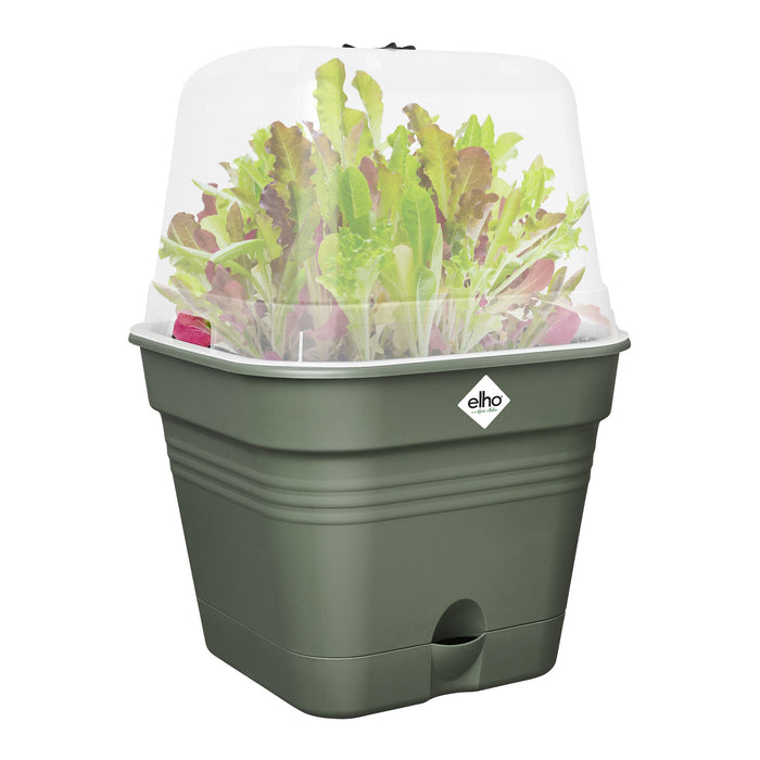 elho Green Basics Kweekpot B 15 x B 15 cm - Zwart