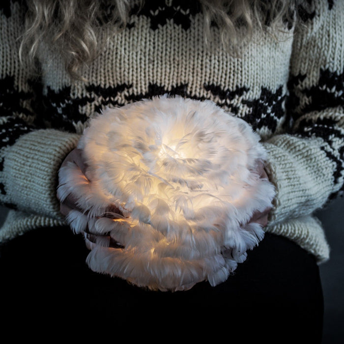 5baf4373-9ef3-43b4-be1a-03124374bc82-afbeelding6.jpg (5318056) 