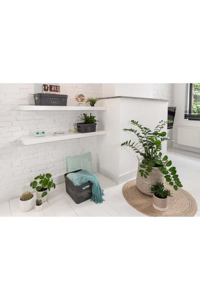 Curver Infinity Recycled Opbergbox - 11L - 3 stuks - Grijs