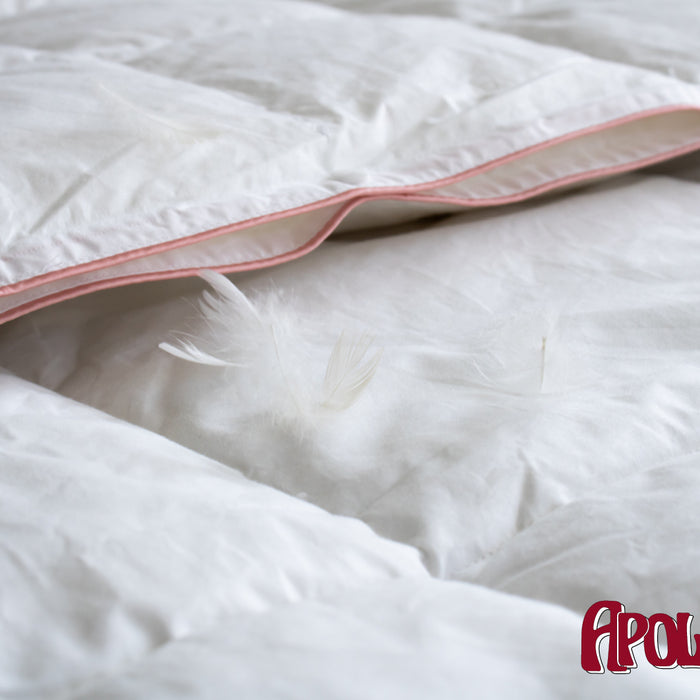 Apollo - Voldonzen Eendendons - 4-Seizoenen Dekbed - 240x220cm