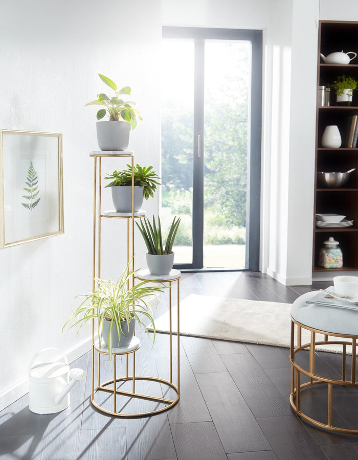 Sky Style Runder Plantentafel Marmer | Goud
