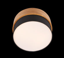 dae34bda-de88-49ea-8032-c98ff737128c-afbeelding3.jpg (5468874) 