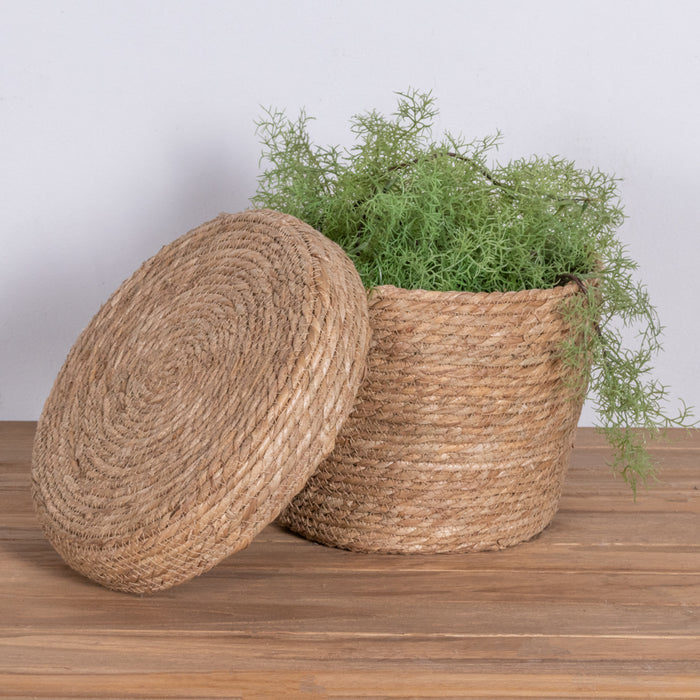 4e8cba8d-2a89-4a45-afed-3facecdc3311-sfeerbeeld.jpg (5483680) 