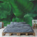 Daring Walls Behang Tropical leaves - 6