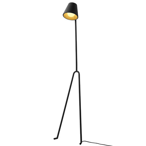 25035-groot.jpg (56411) 
