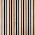 8a1e3298-8d6a-499f-96fc-742582663977-vrijstaandbeeld.jpg (5650104) 