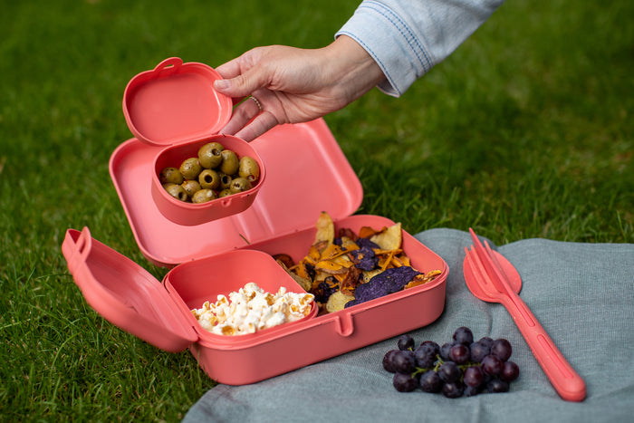 Lunchbox- en Bestekset, Organic, Natuur Koraal - Koziol | Pascal Ready