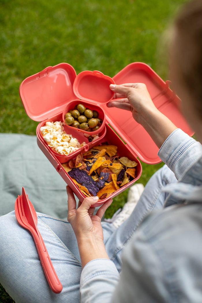 Lunchbox- en Bestekset, Organic, Natuur Koraal - Koziol | Pascal Ready