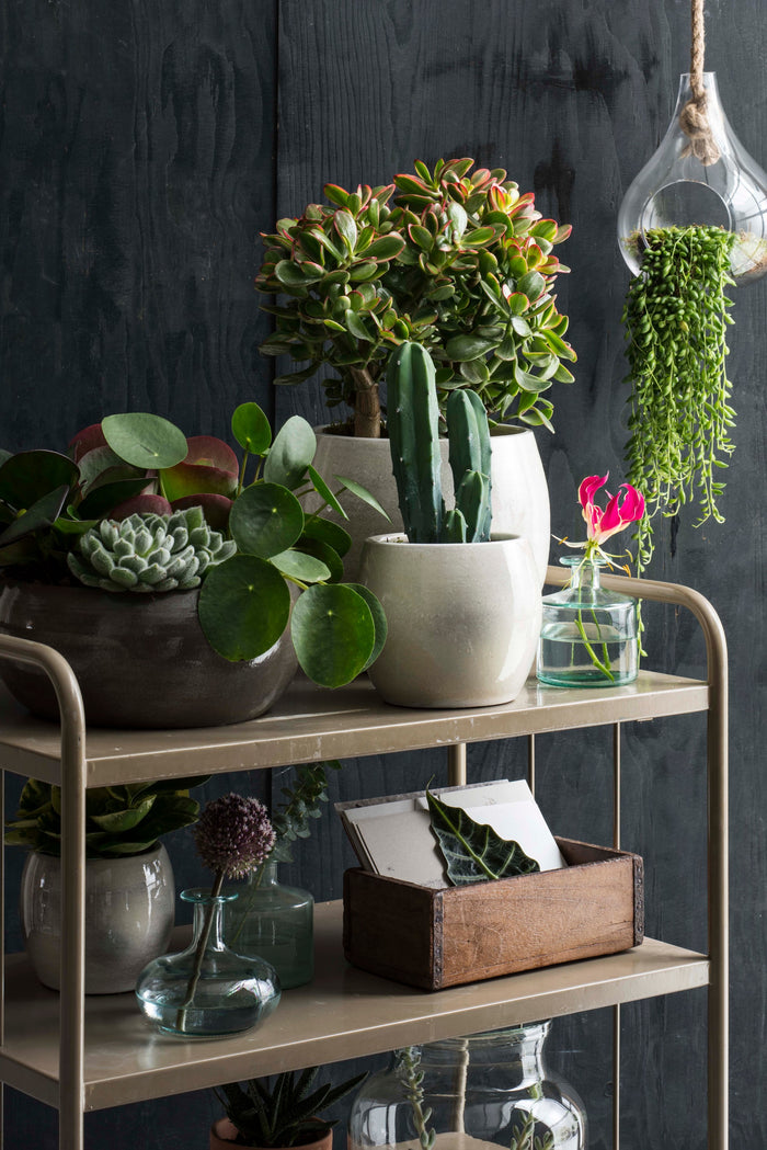 646f22b1-d917-4777-9ef9-b07c0a1818c1-afbeelding4.jpg (5785467) 