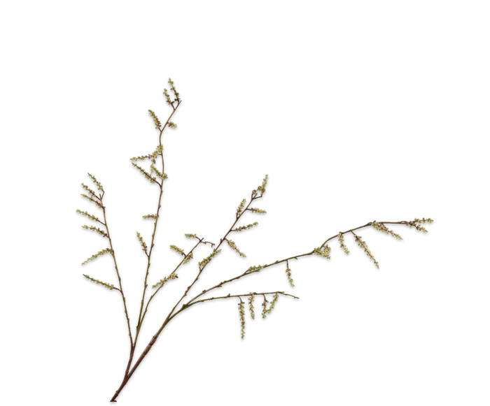 Silk-ka Zijden Bloem-Kunstbloem Wilgen Tak Groen 127 cm