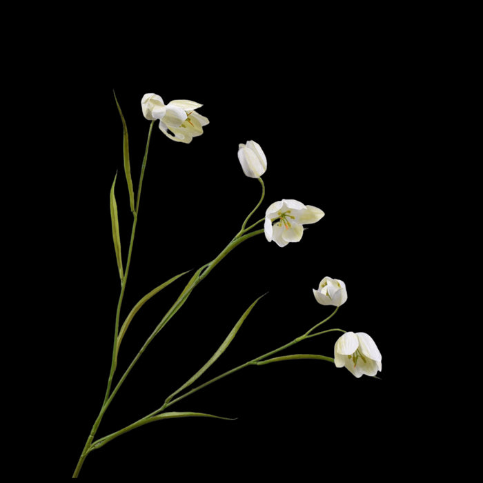 8c421f97-cf2c-4877-b3d6-ee57d444622d-vrijstaandbeeld.jpg (5786977) 