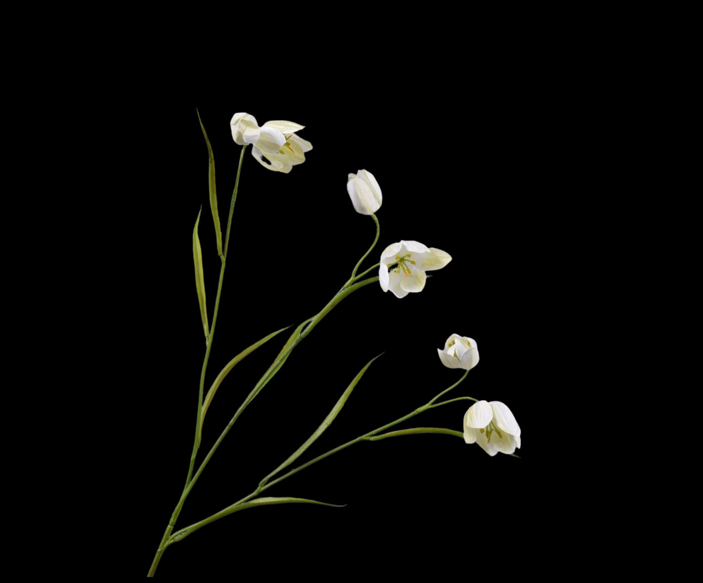 8c421f97-cf2c-4877-b3d6-ee57d444622d-vrijstaandbeeld.jpg (5786977) 