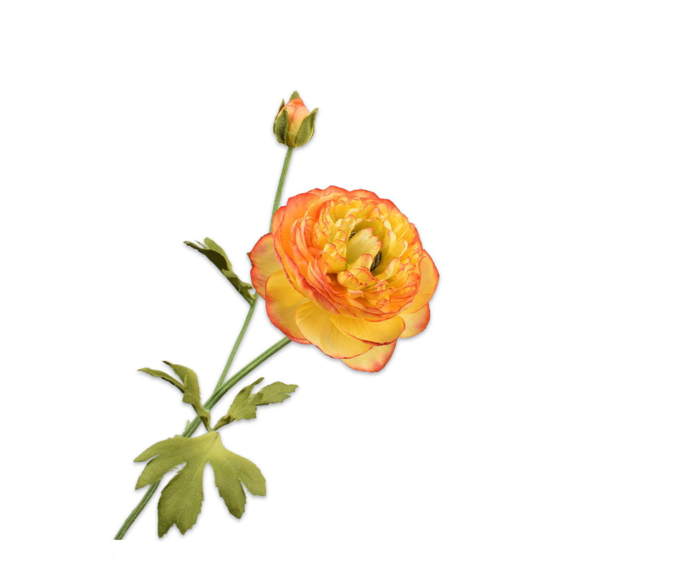 2eadefec-57ad-4d3b-99ed-2c35516e7e7b-vrijstaandbeeld.jpg (5787375) 