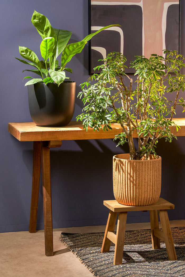 381b267e-f72f-41c7-a985-a541f9c2f799-sfeerbeeld.jpg (5787684) 