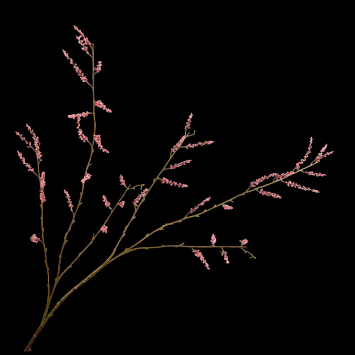 922aaffa-e44a-4b39-ba8f-1ac33a7c59ed-vrijstaandbeeld.jpg (5789874) 