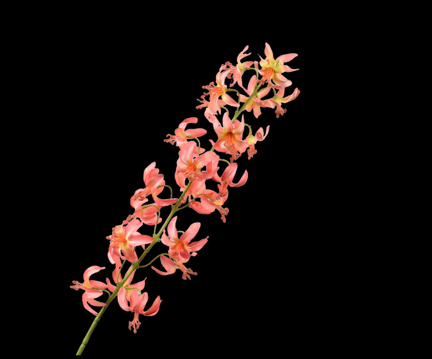 2310b151-456a-4bff-b95d-5b37ef4dc079-vrijstaandbeeld.jpg (5790281) 