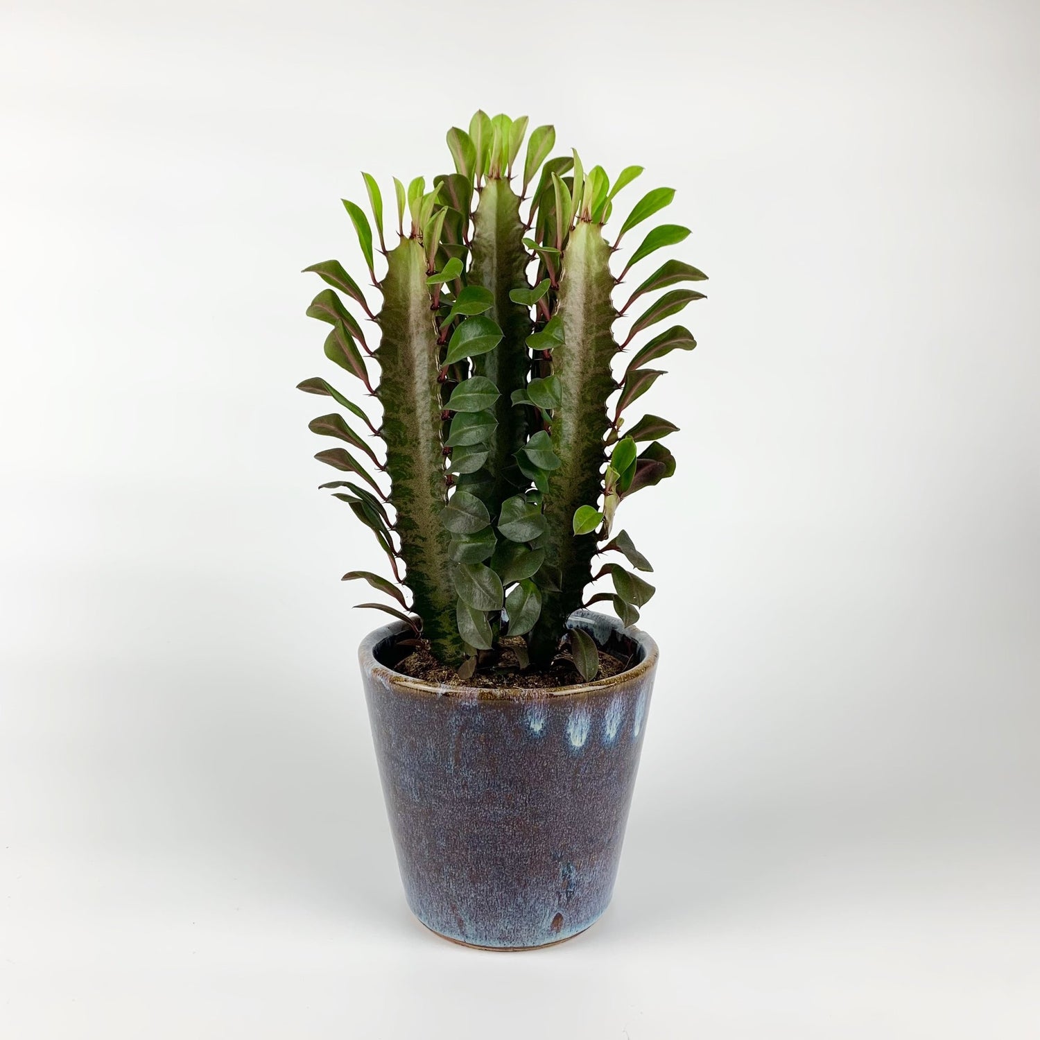 392a0d21-eba9-428b-9007-74553dedf850-vrijstaandbeeld.jpg (5797182) 