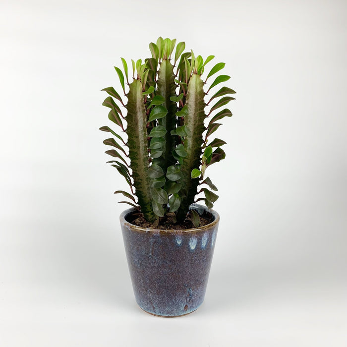 392a0d21-eba9-428b-9007-74553dedf850-vrijstaandbeeld.jpg (5797182) 