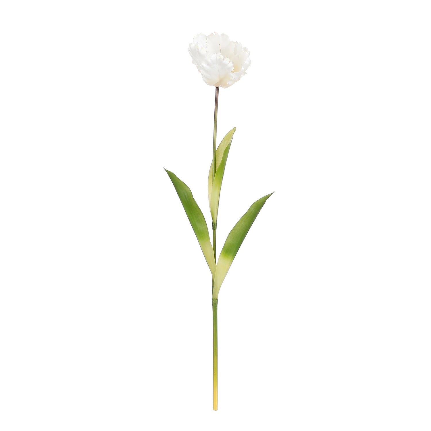 Mica Decorations Papegaai Tulp Kunstbloem - L73 cm - Crème