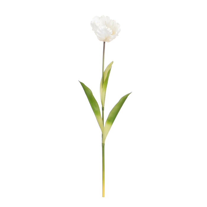 Mica Decorations Papegaai Tulp Kunstbloem - L73 cm - Crème