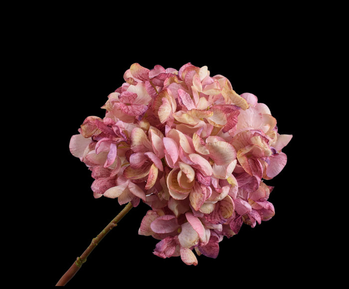 8b043f48-28d6-4209-b59a-3a07d25b3f1a-vrijstaandbeeld.jpg (5801827) 