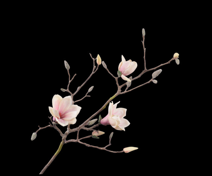 bae0c7df-2e16-4ed0-b2d0-c622ce532f22-vrijstaandbeeld.jpg (5801977) 