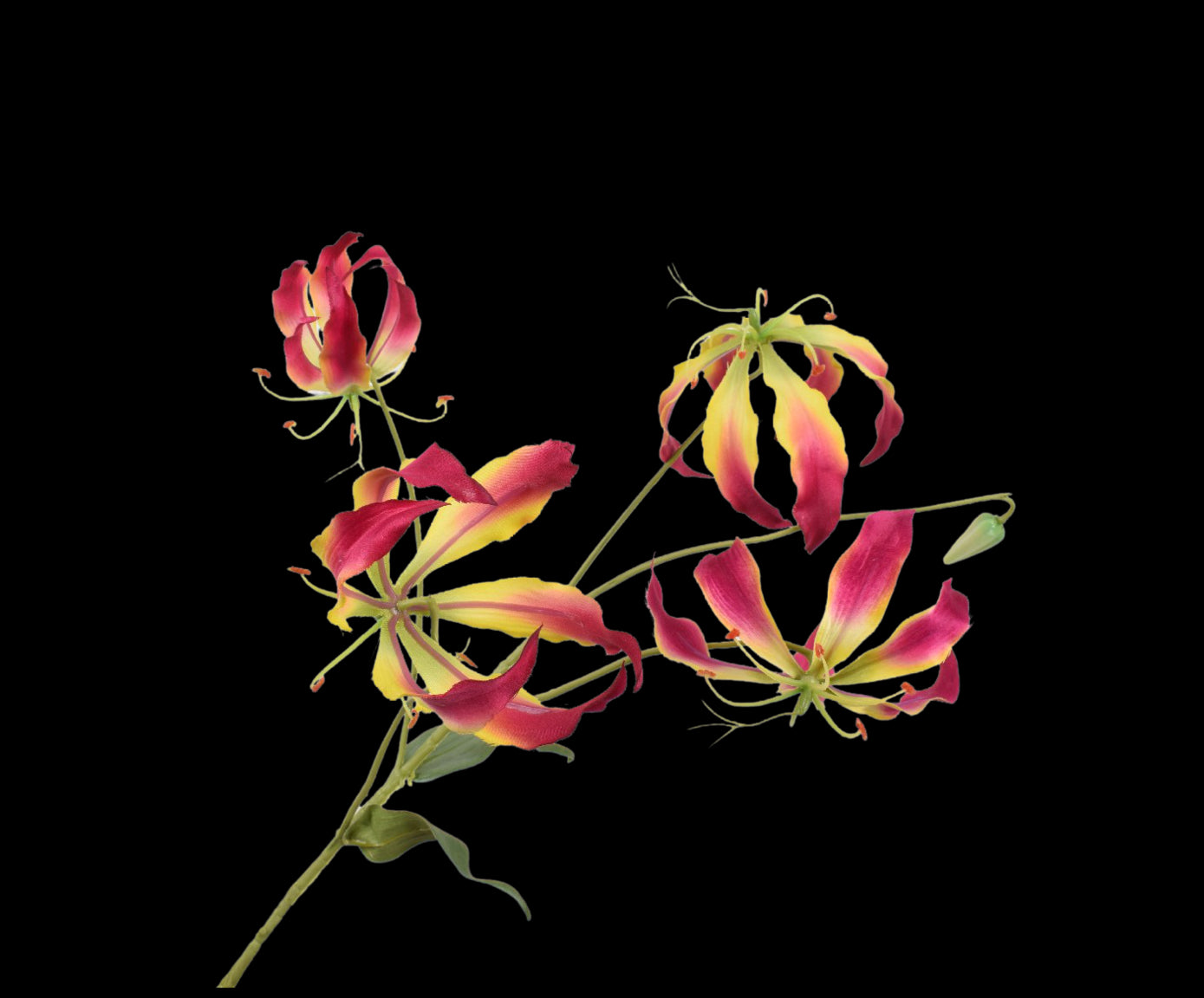 ba34d386-f0bf-4811-a30a-e4e714e6cb92-vrijstaandbeeld.jpg (5802004) 