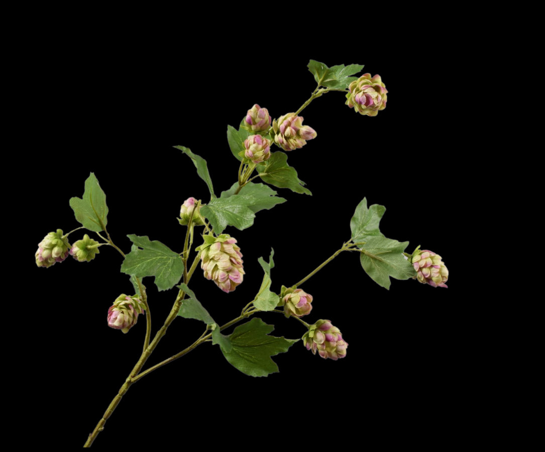 6aa57147-6556-429f-b169-a10fa1d29ea7-vrijstaandbeeld.jpg (5802229) 