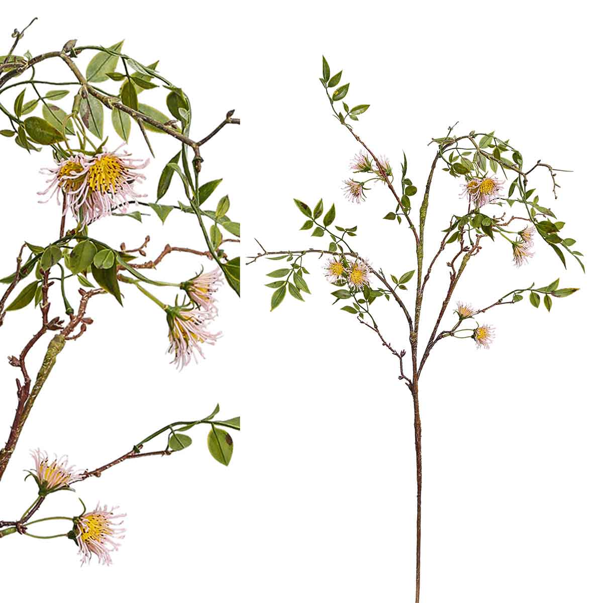 PTMD Garden Bloem Mini Protea Kunsttak - 51 x 12 x 105 cm - Groen|roze