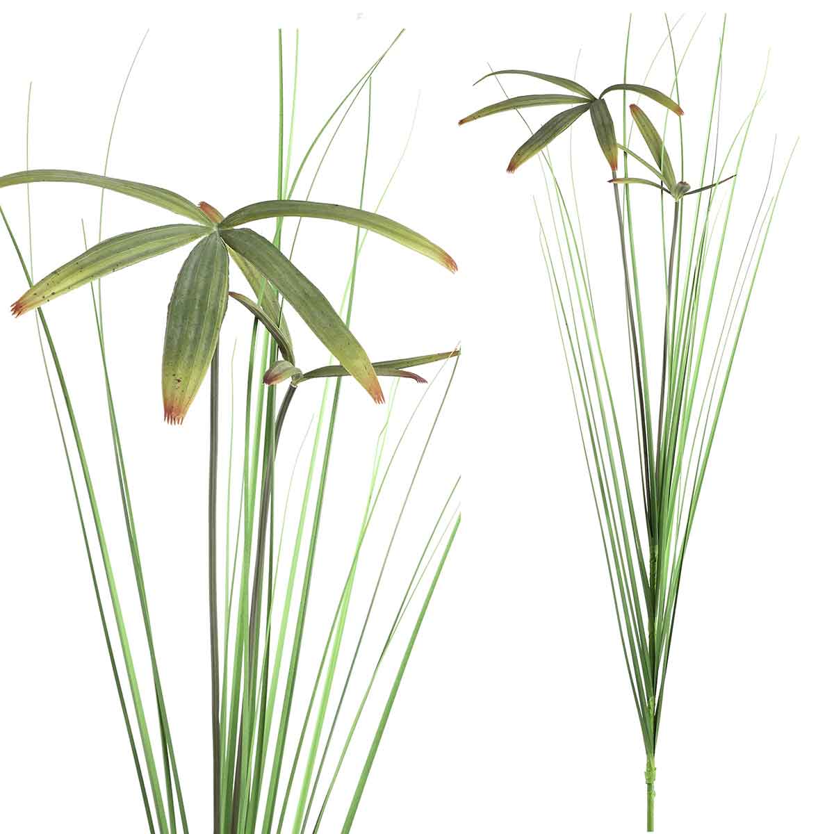 47cab371-1dc9-4c21-b9dd-af03488d6040-vrijstaandbeeld.jpg (5803636) 