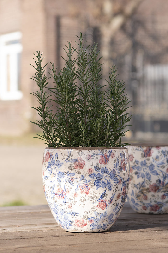 a87c9eb3-a309-4fe3-8f4b-c5437d853fcd-afbeelding12.jpg (5805107) 