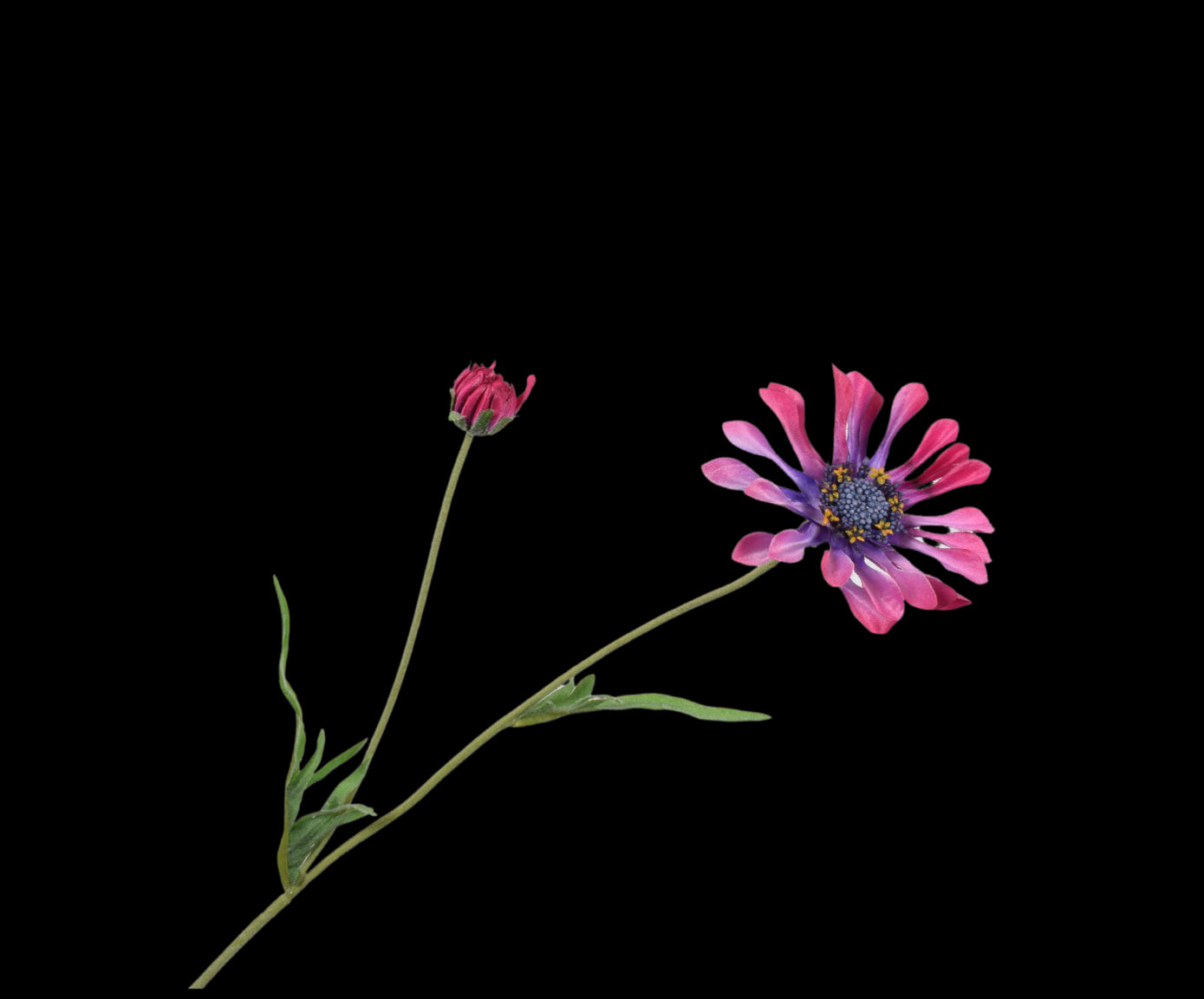 e219b3a4-899a-47b3-b869-5341be3afa25-vrijstaandbeeld.jpg (5806340) 