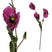 PTMD Garden Bloem Anemone Kunsttak - 35,5 x 11,5 x 68,5 cm - Roze