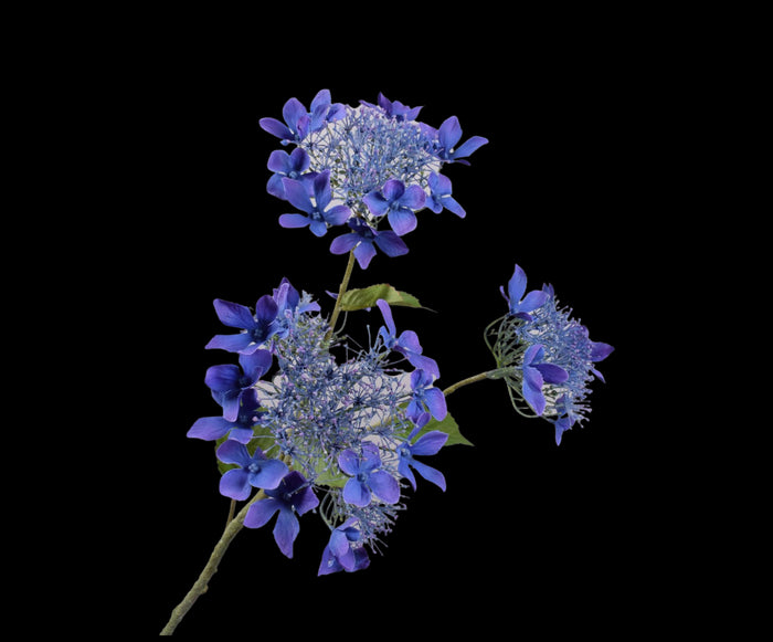 a039b6c7-4569-45ae-bc54-50ba3a4794f7-vrijstaandbeeld.jpg (5813405) 