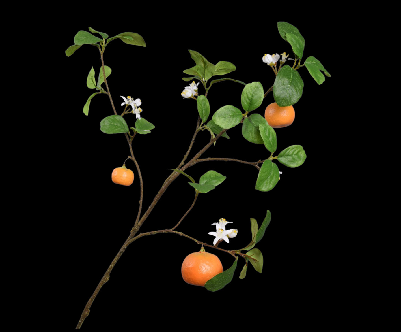 c6ab63c8-4384-4afb-b187-897db4e6d6fb-vrijstaandbeeld.jpg (5814018) 