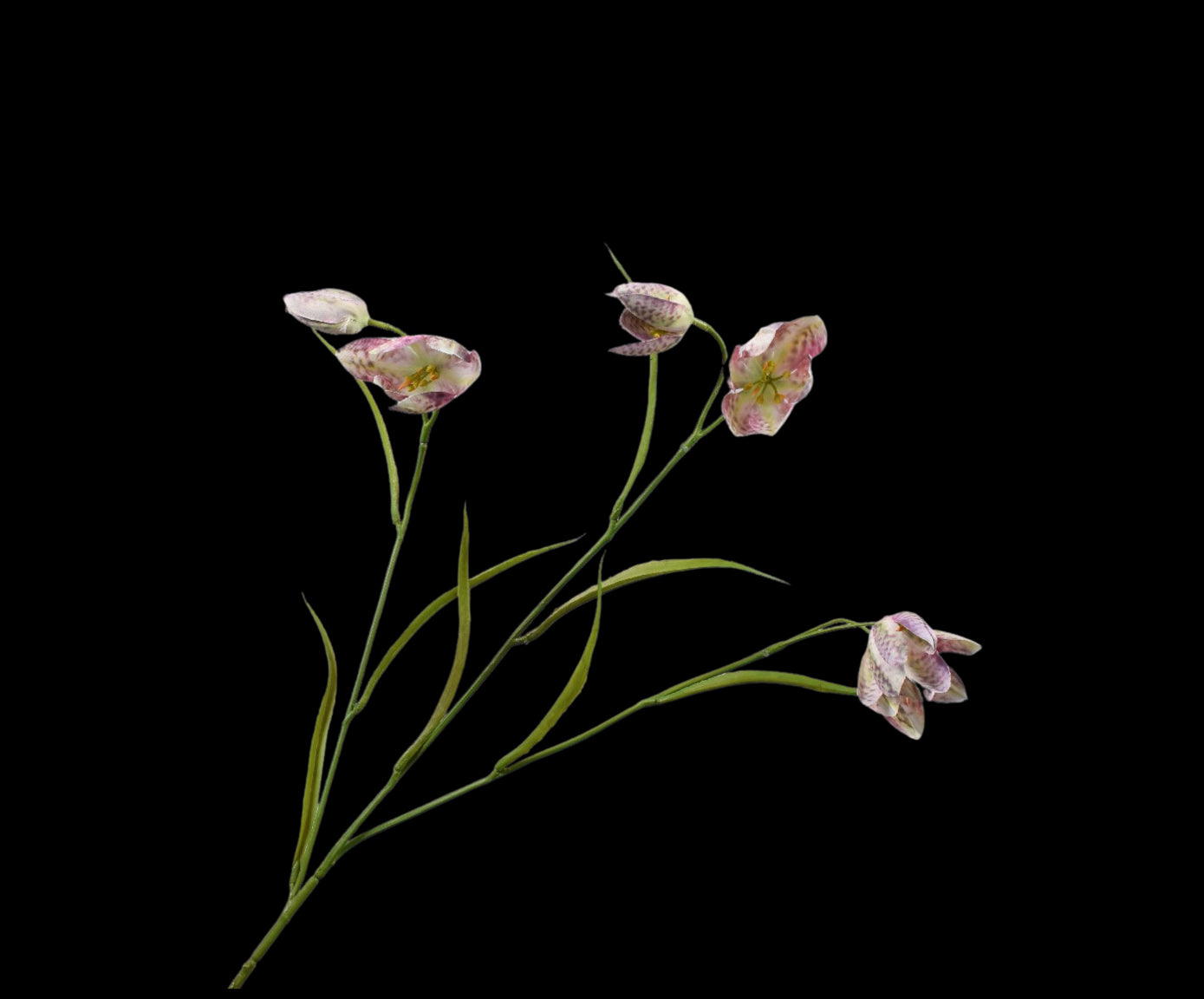 2e75673a-6e77-4134-a1f8-0062f2ffcd71-vrijstaandbeeld.jpg (5814467) 