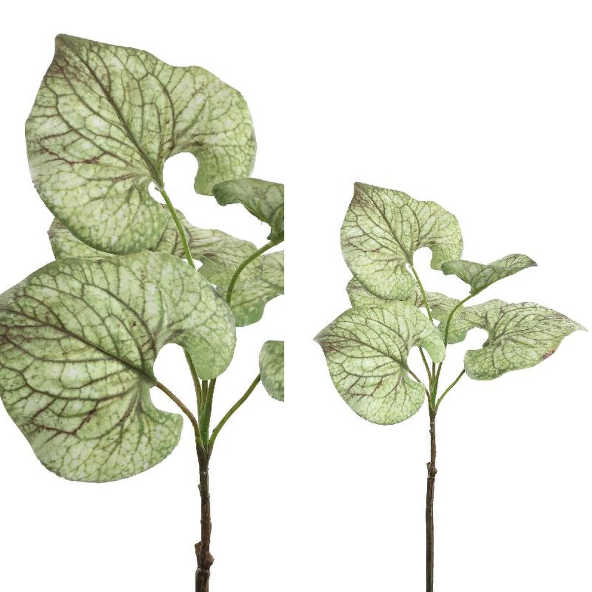 PTMD Ossetong Kunsttak - 22 x 26 x 42 cm - Bruin