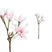 PTMD Magnolia Flower Japanse Magnolia Kunsttak - 23x23x63 cm - Roze