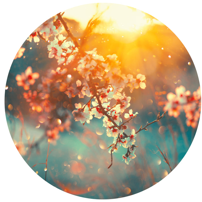 8eb33676-5306-4e63-bf40-da6a7de7ac9f-vrijstaandbeeld.jpg (5883479) 