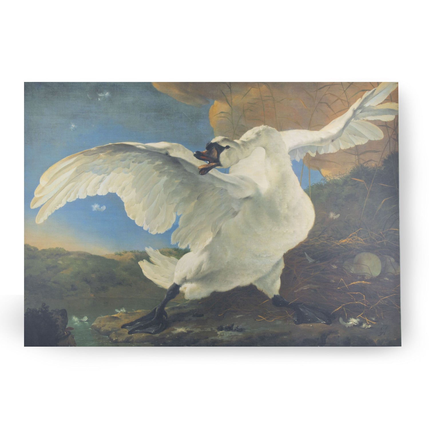 c6bbec7c-2a71-45ee-8591-ae741d972c2c-vrijstaandbeeld.jpg (5903320) 