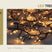 Anna's Collection 1,6-1,9m treecluster 10m|768led classic warm Anna's